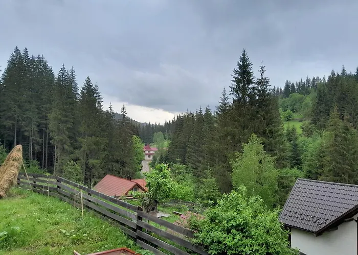 Деревянный коттедж у яни *