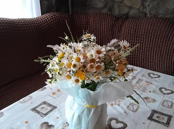 Деревянный коттедж у яни *